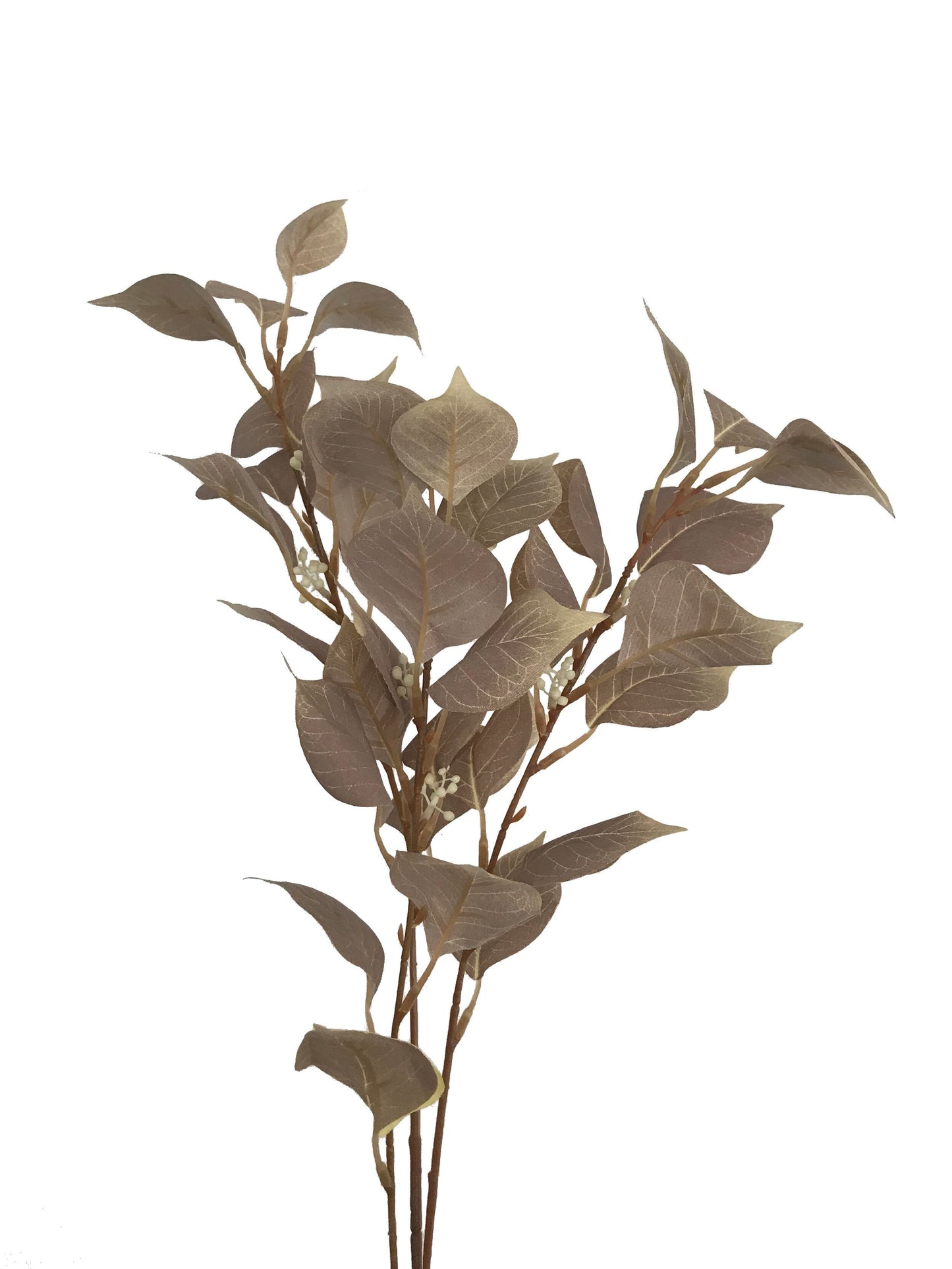 foliage nude