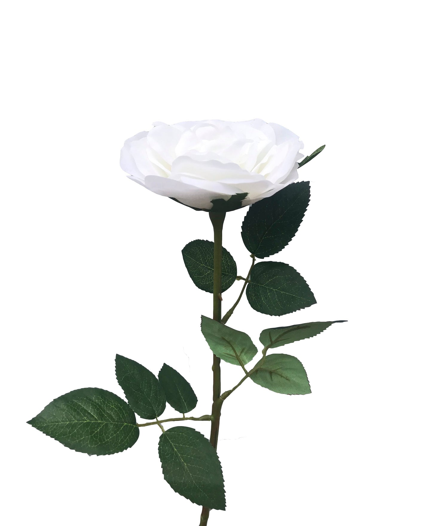 Artificial real touch Austin Rose White
