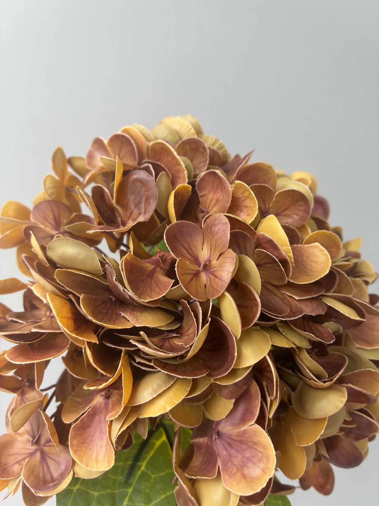 Artificial Real Touch Hydrangea Brown