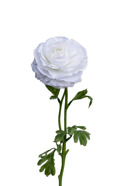 Artificial Real Touch Ranunculus Rose White