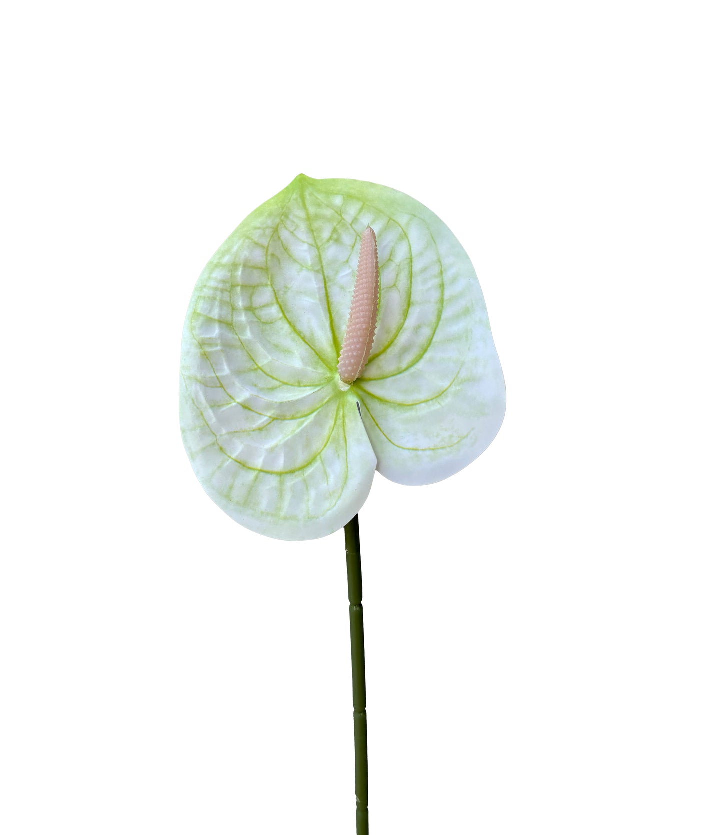 Artificial Anthurium White and Green