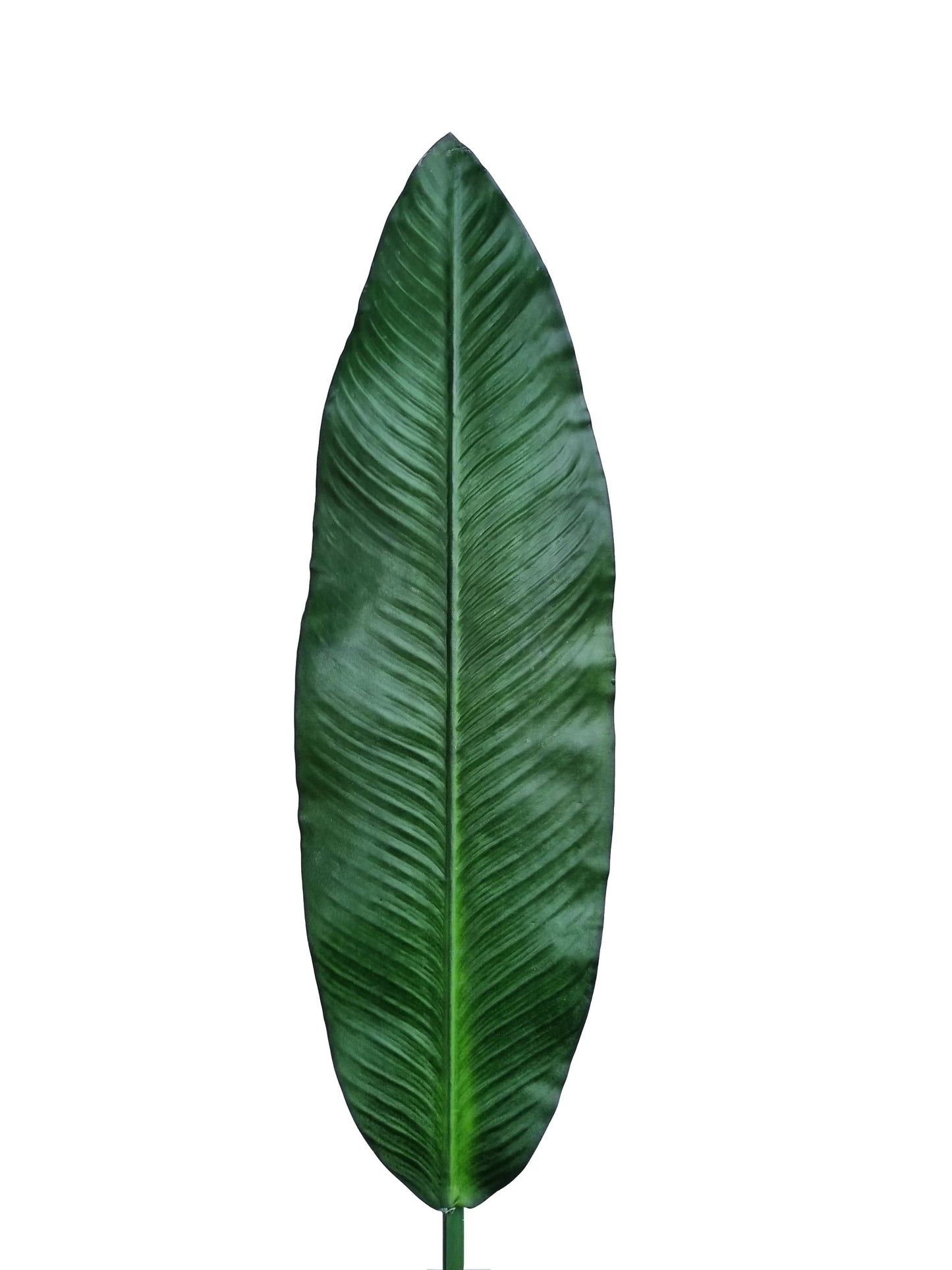 Artificial Banana Leaf