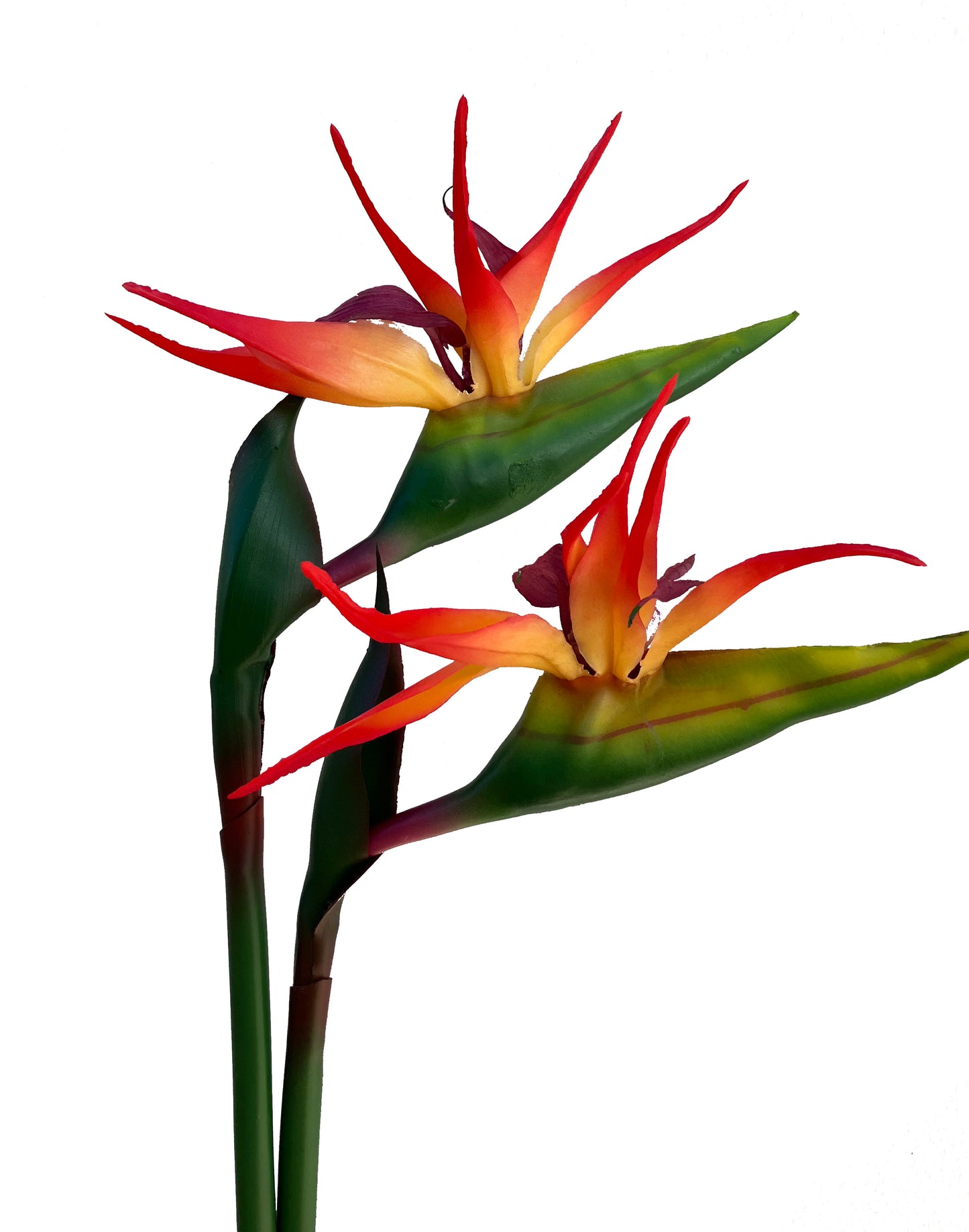 artificial bird of paradise