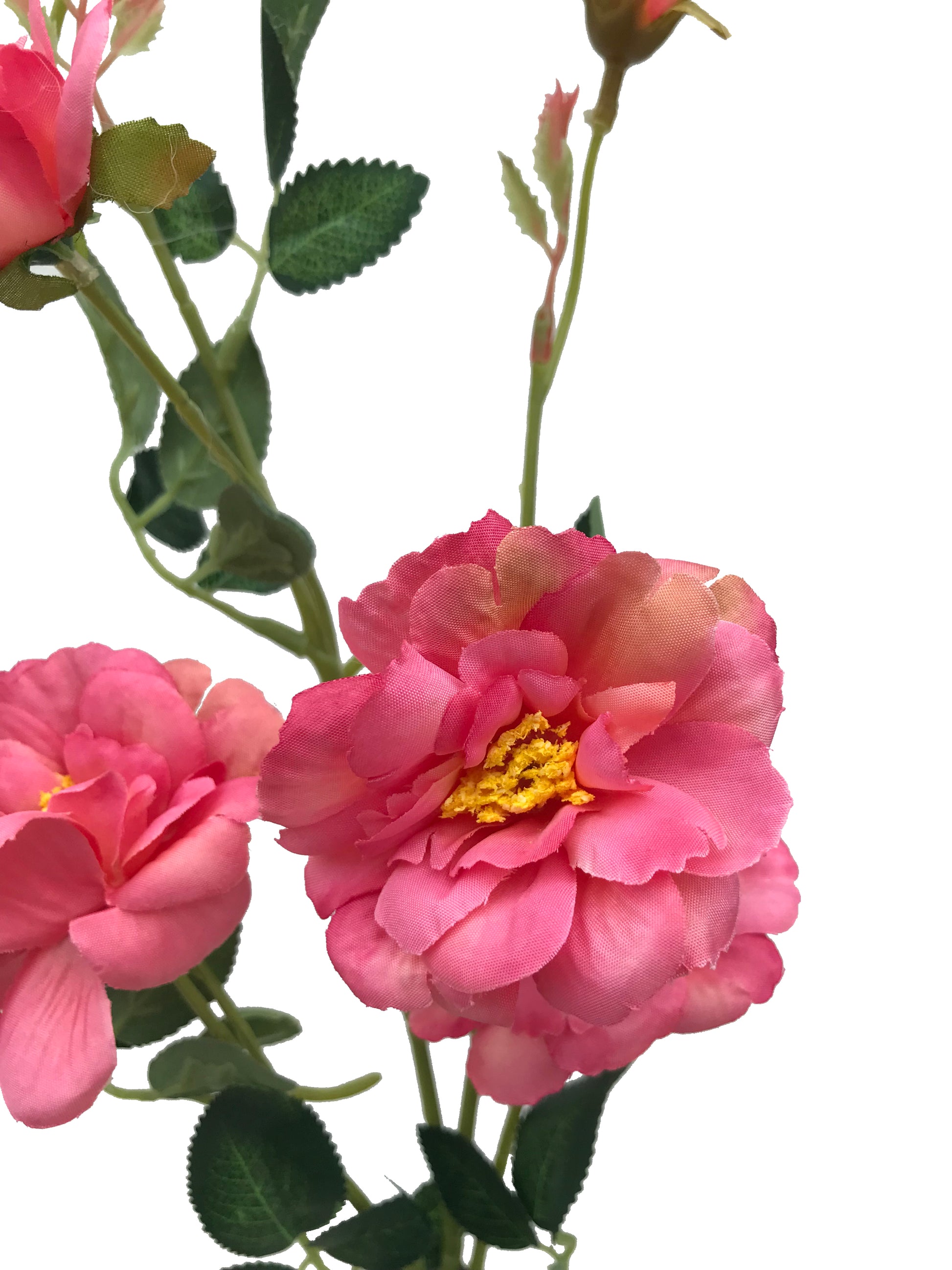 artificial camelia watermelon