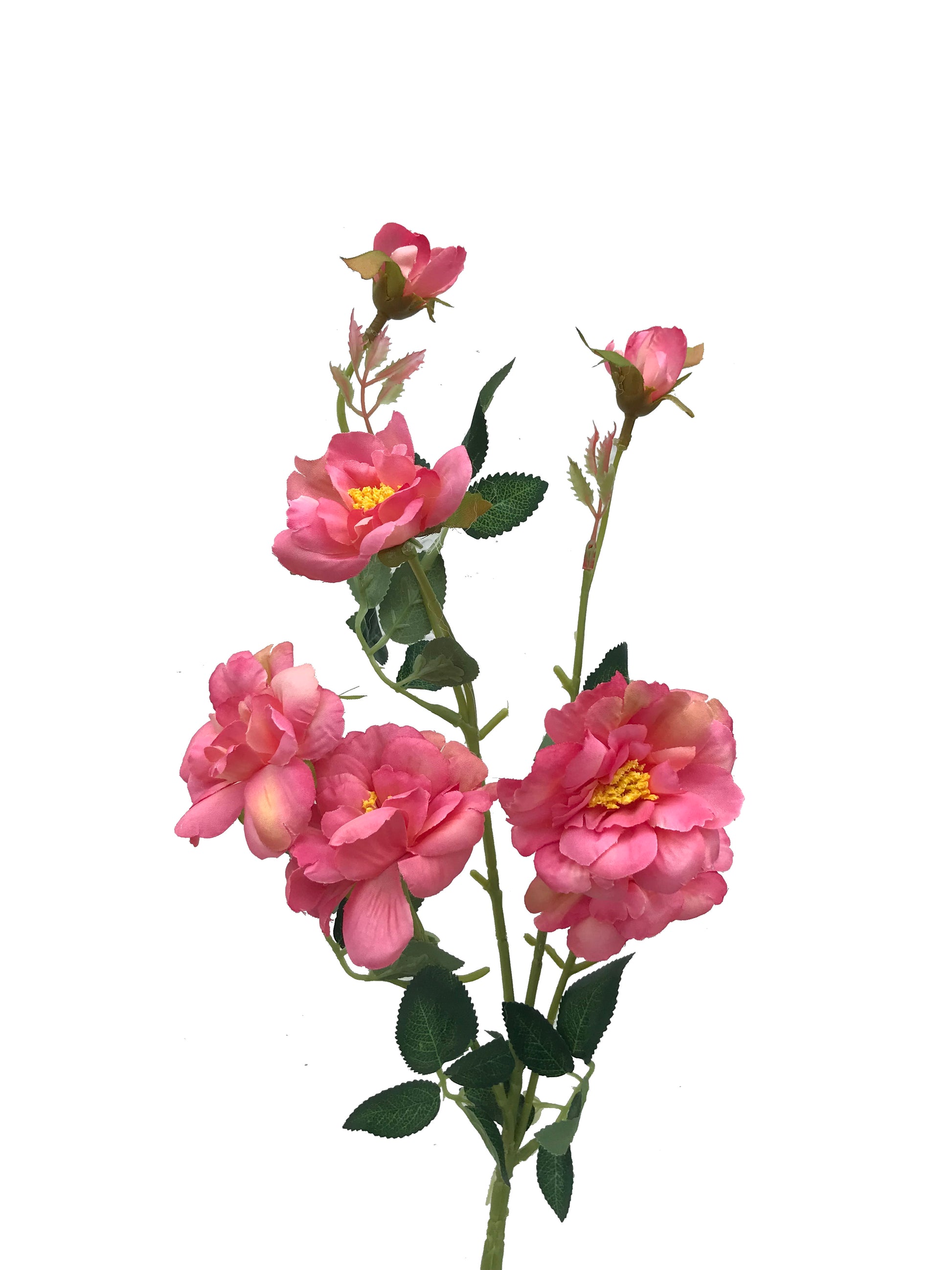 artificial_camellia_watermelon