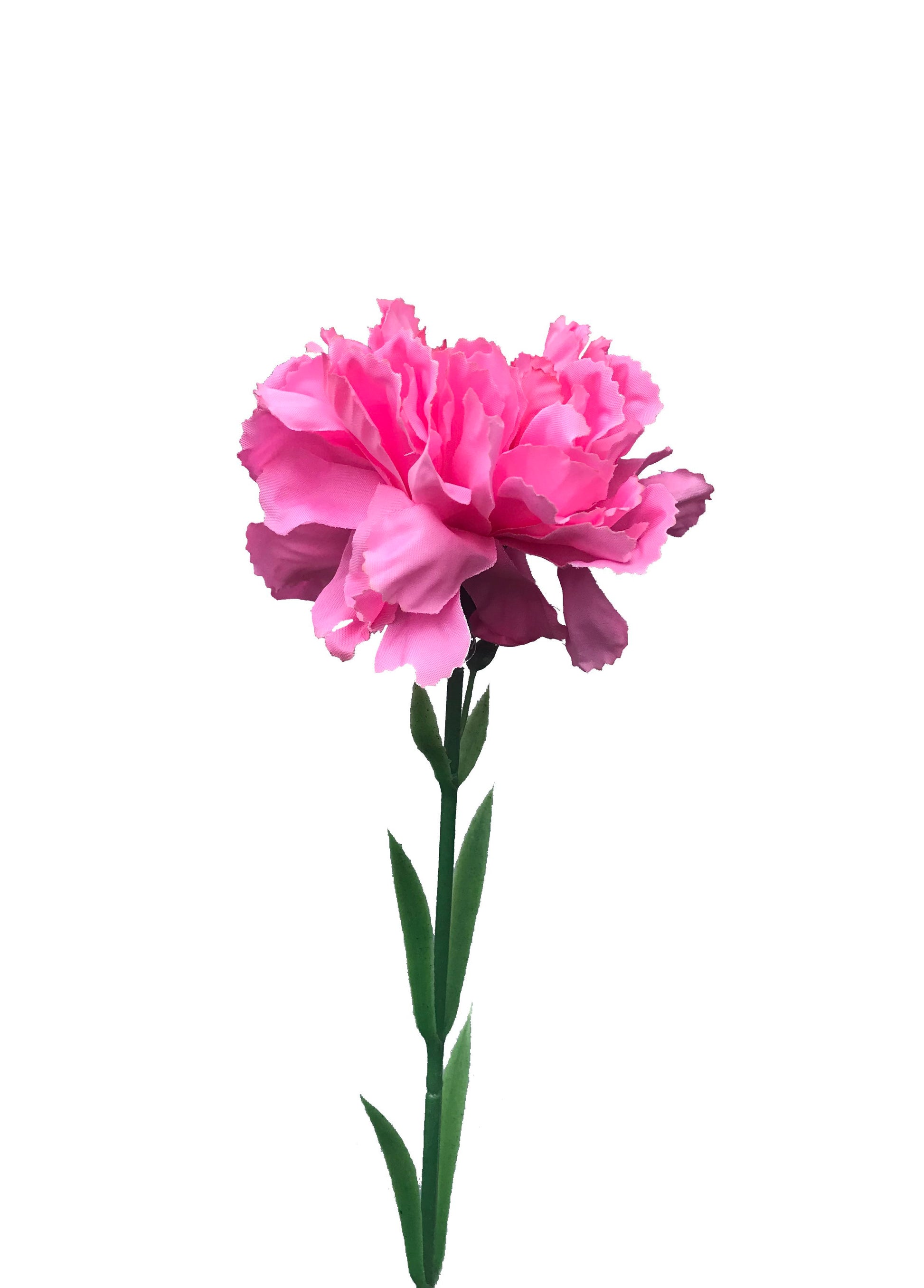 artificial carnation hot pink