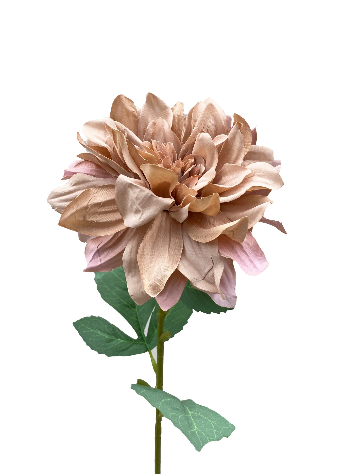 Latte grande de dalia artificial