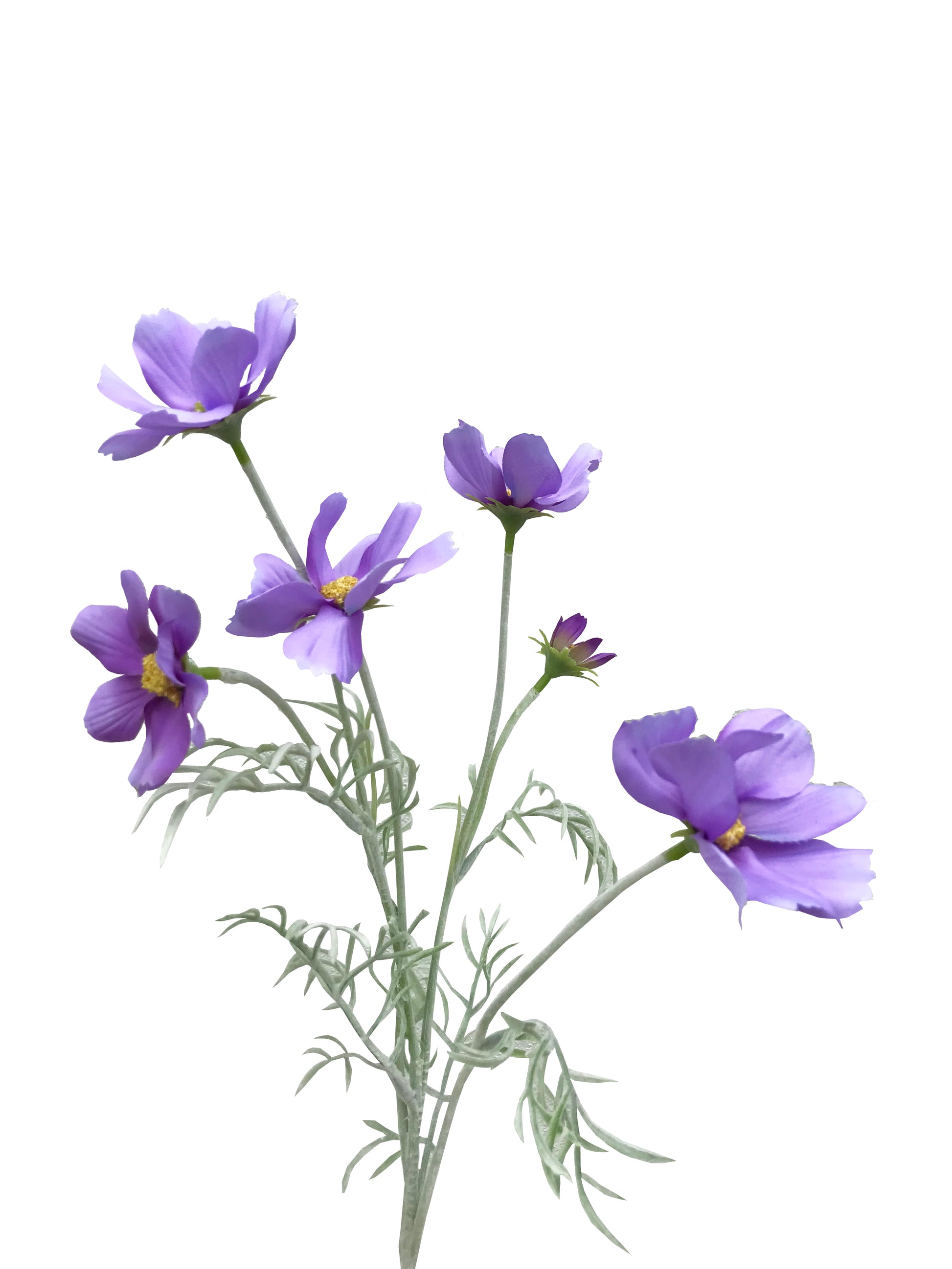 artificial daisy violet