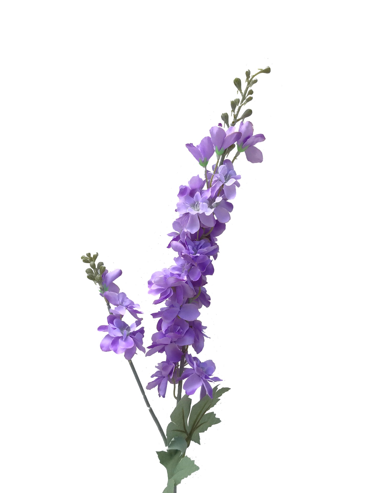 artificial delphinium charisma