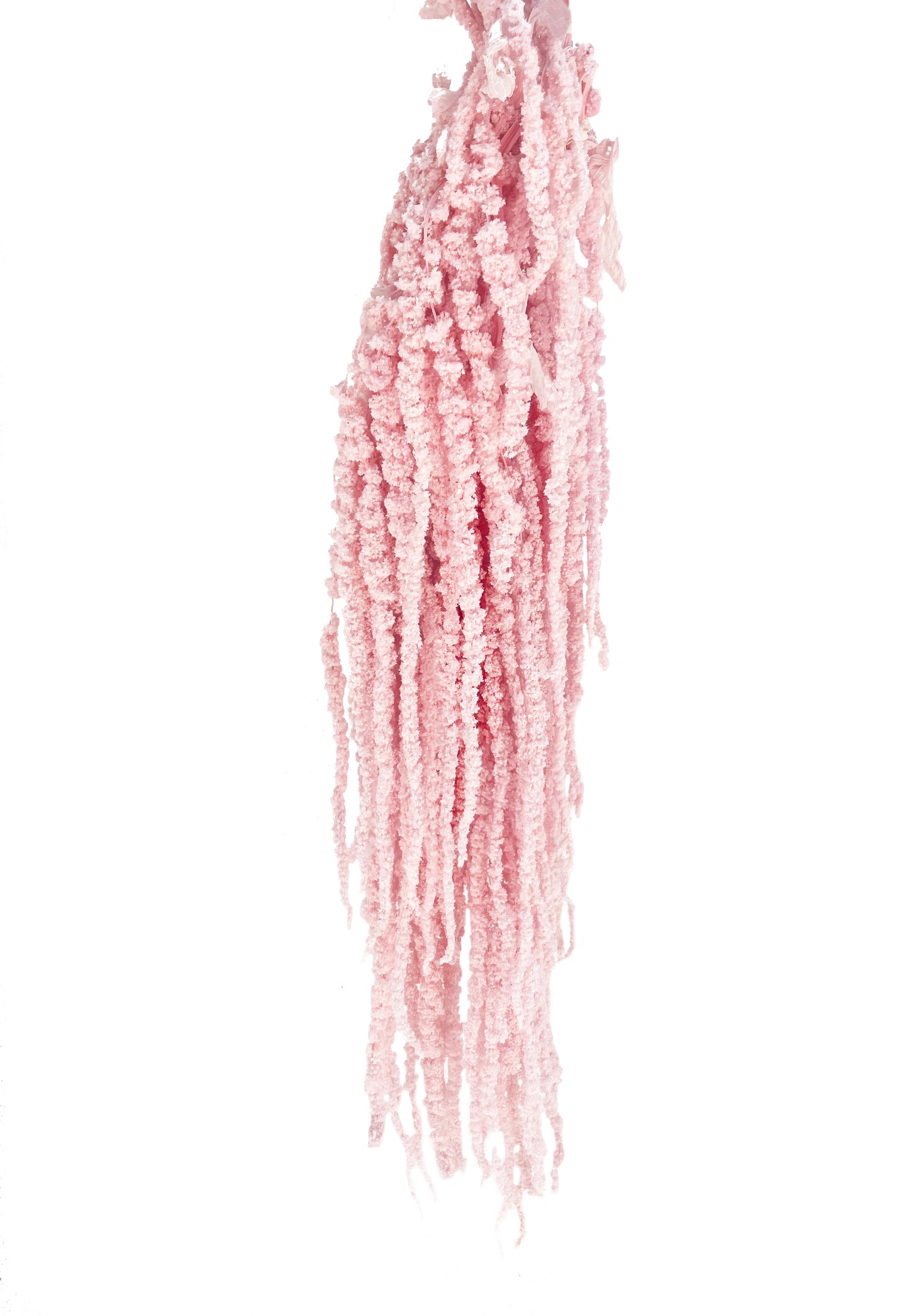 artificial dried amaranthus light pink