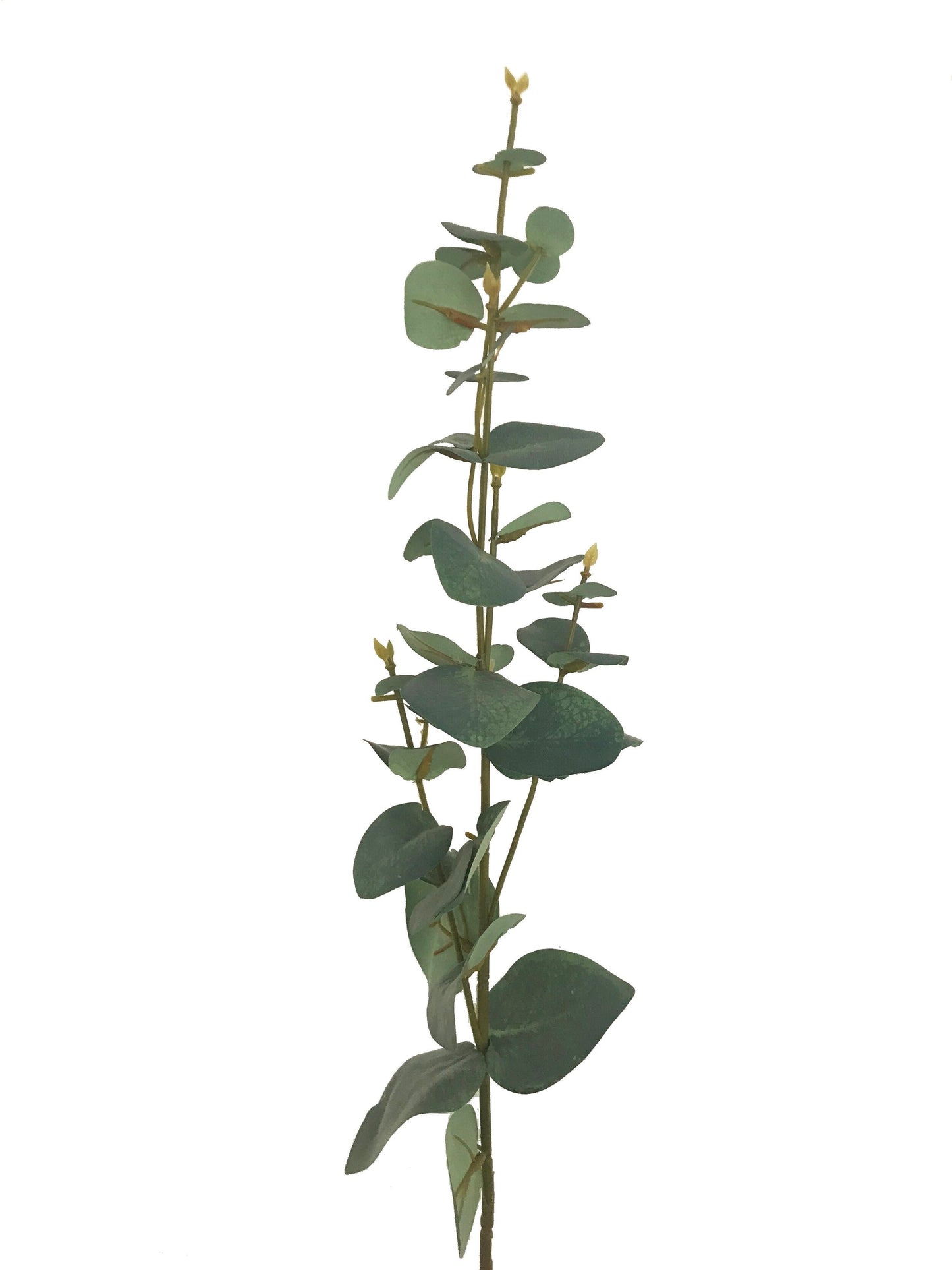 artificial eucalyptus