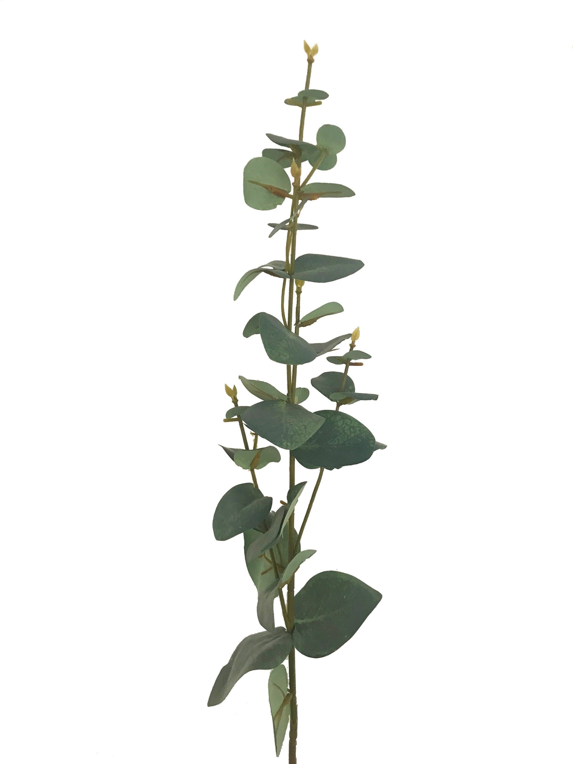 artificial eucalyptus