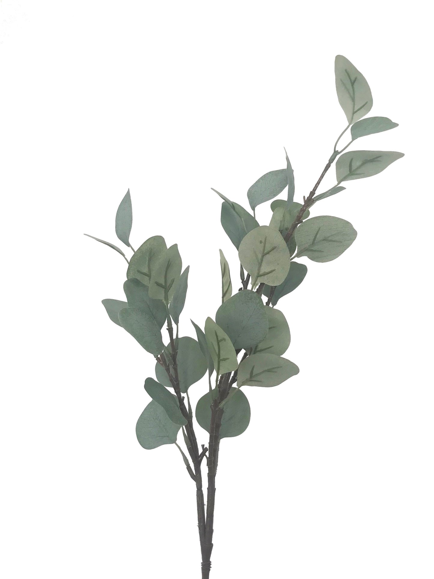 artificial eucalyptus sliver dollar