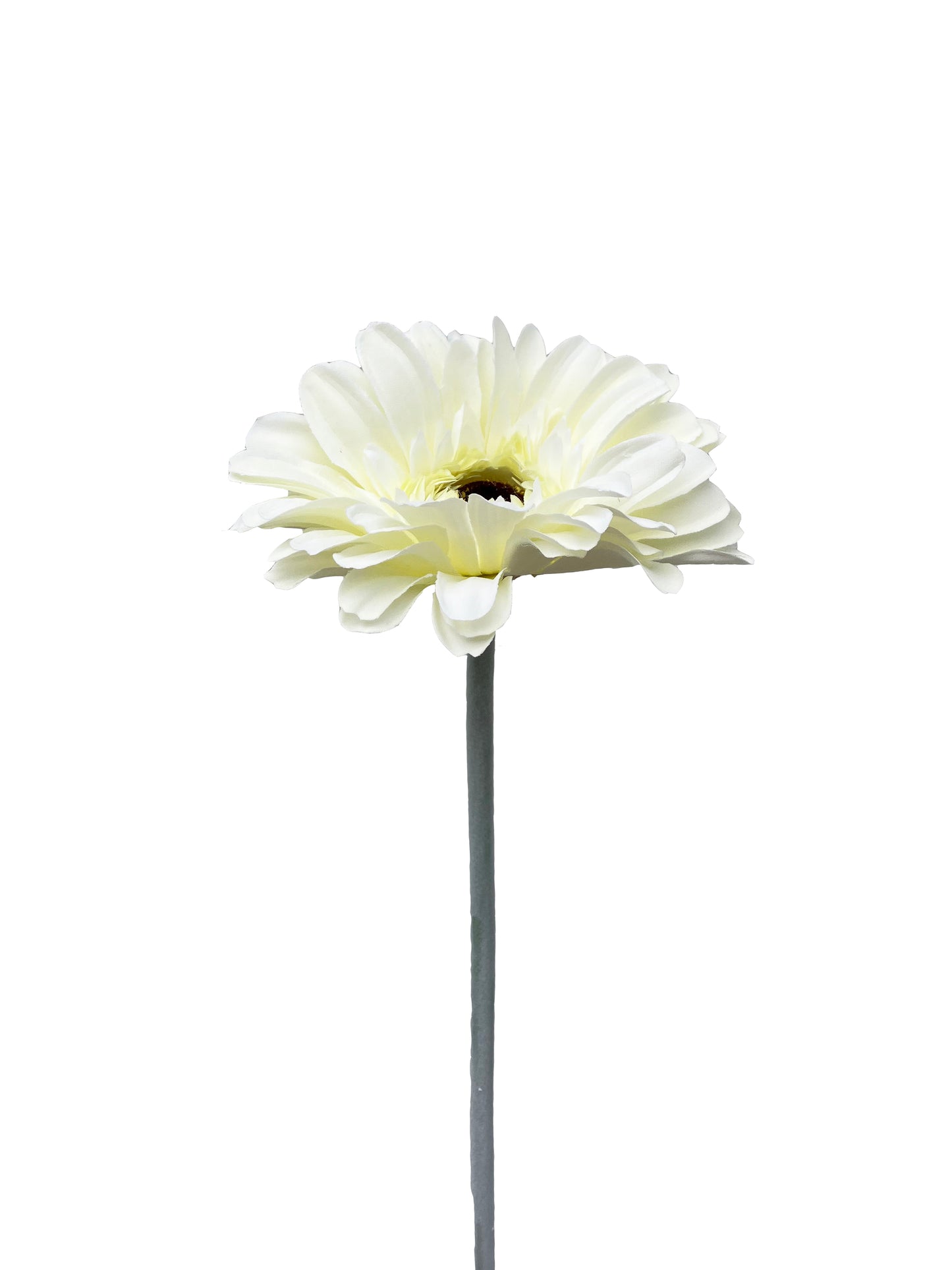 Gerbera artificiel ivoire