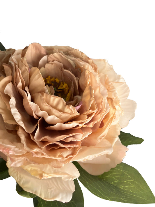 Artificial Peony Large Latte