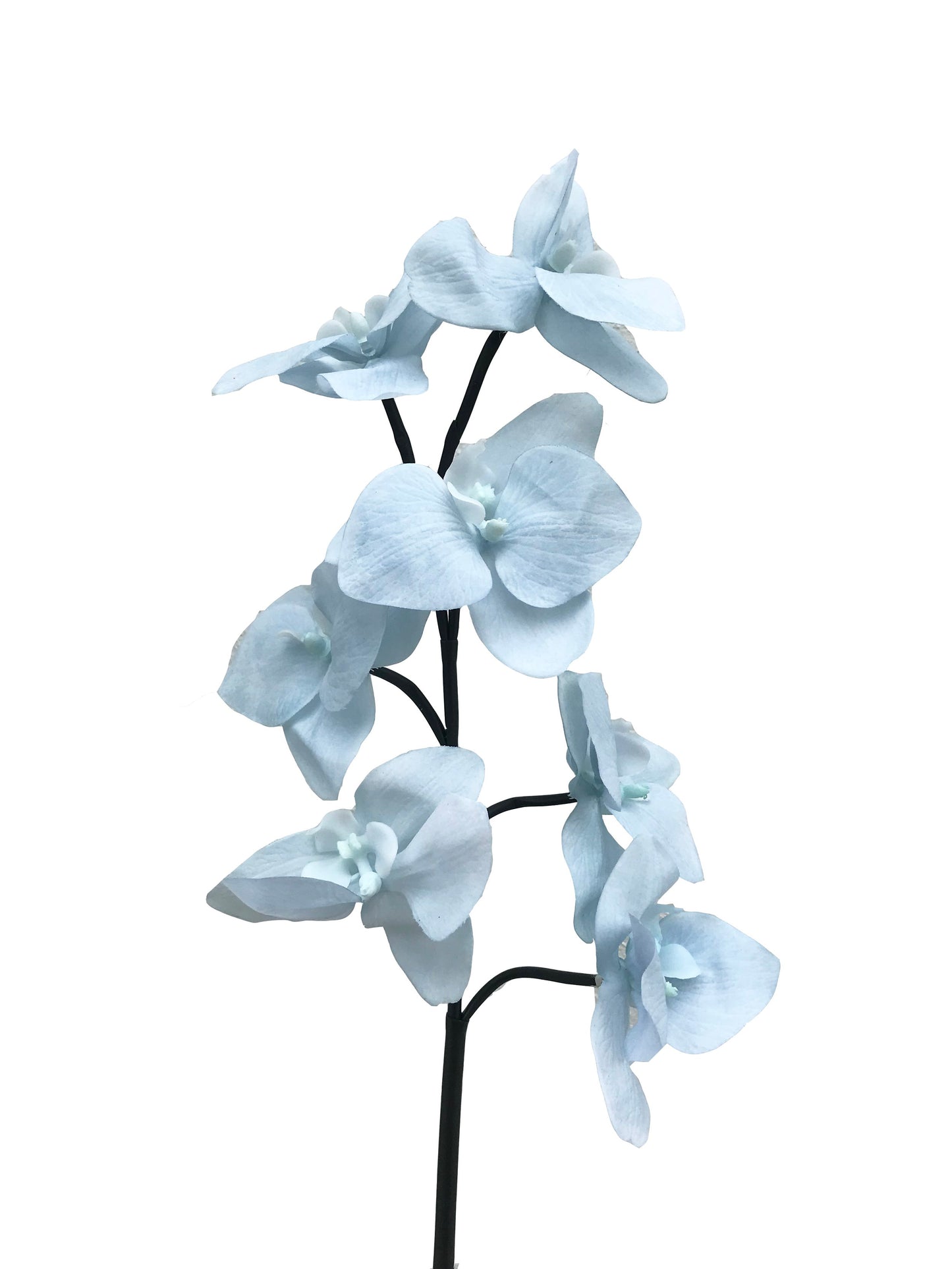 artificial orchid pale blue