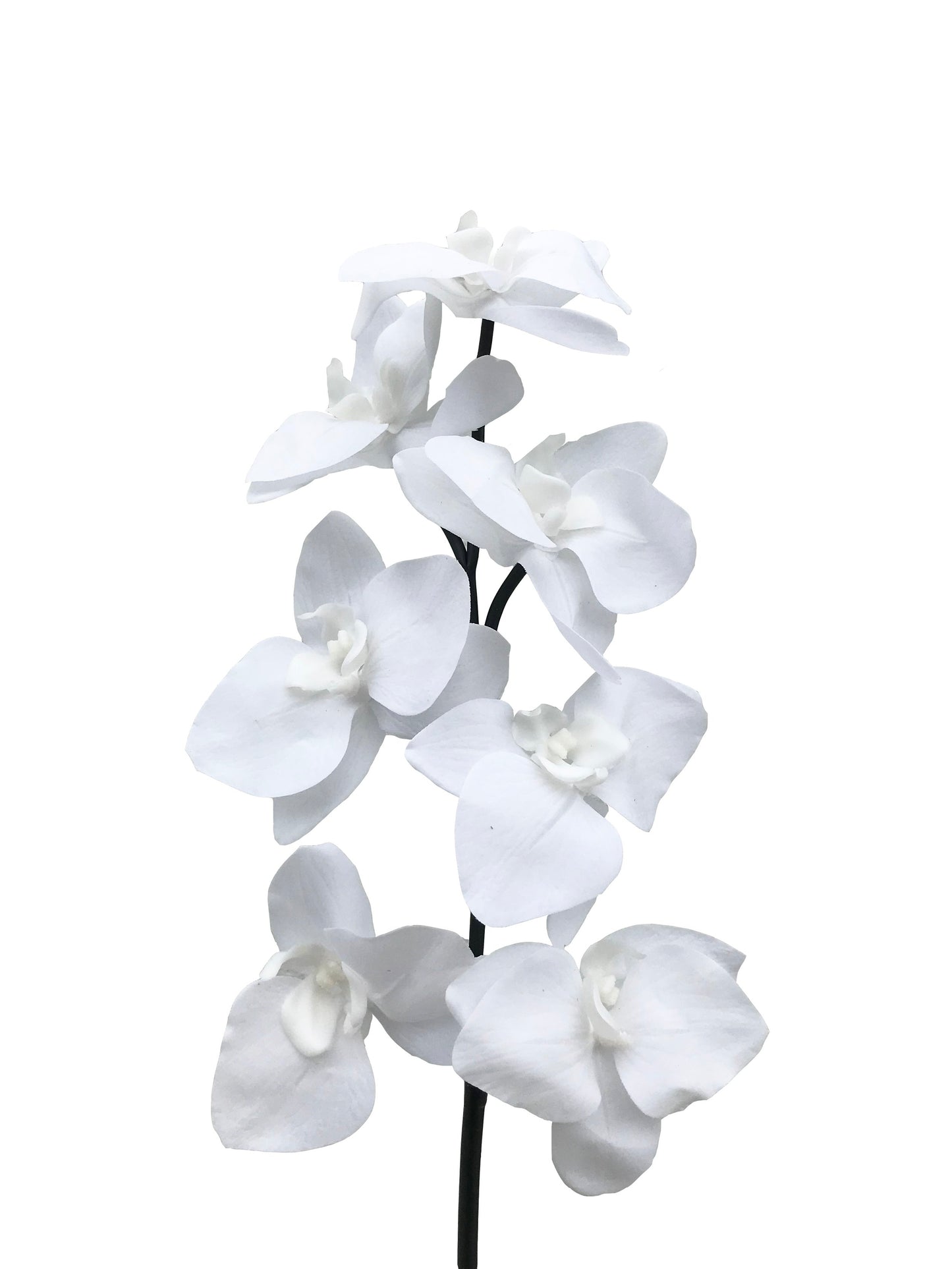 artificial orchid white