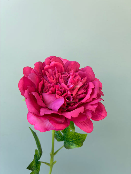 Peonía Artificial Real Touch Fucsia