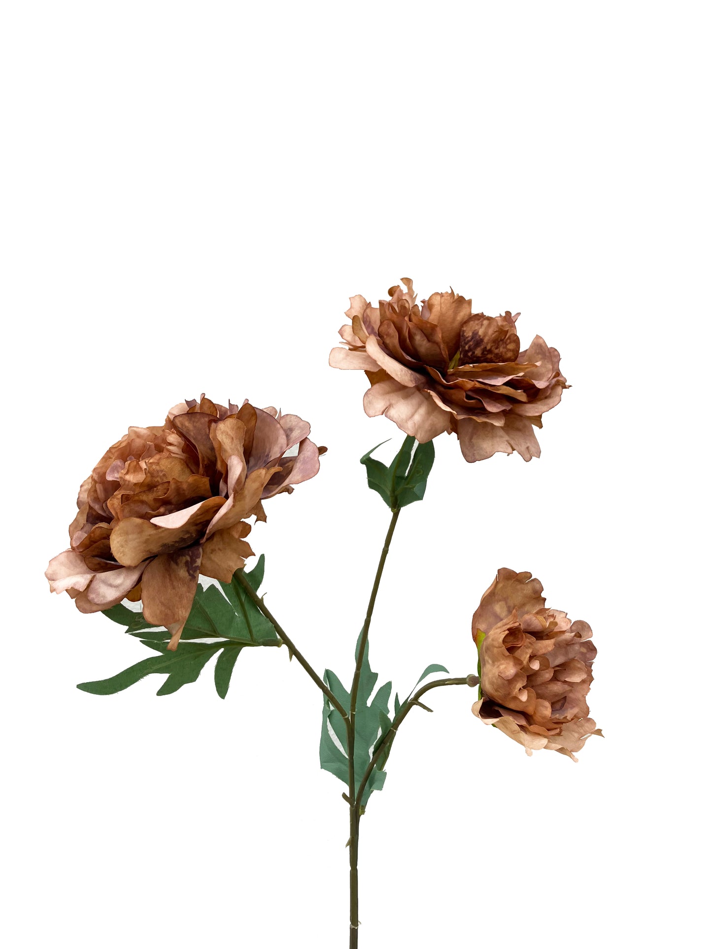Peony Spray Large-Burnt Orange