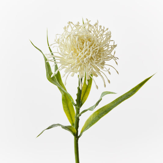 Artificial Pin Cushion Cream Protea Leucospermum