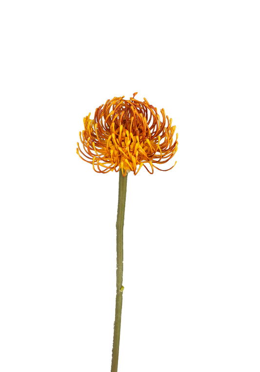 Artificial Pin Cushion Orange Protea Leucospermum