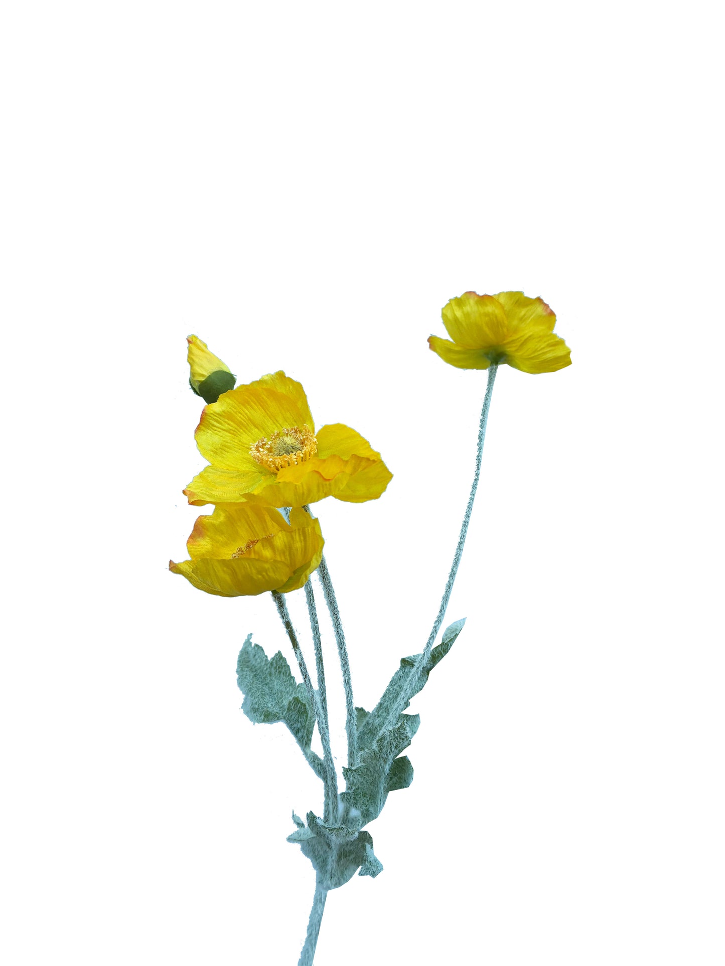 Charisme du coquelicot artificiel