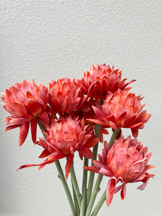 Artificial Protea Orange Petite