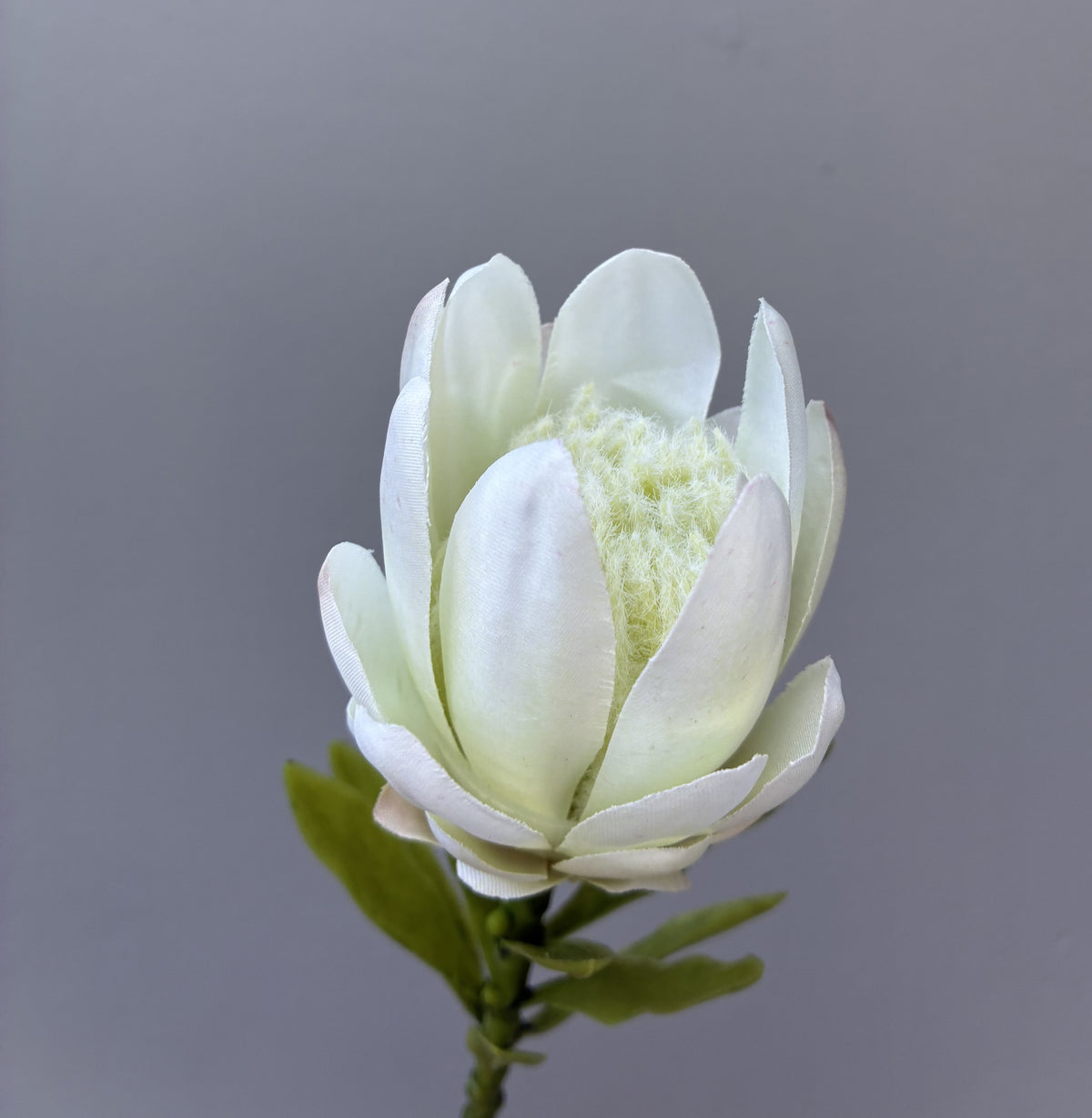 Protea Artificielle Rouge Petite