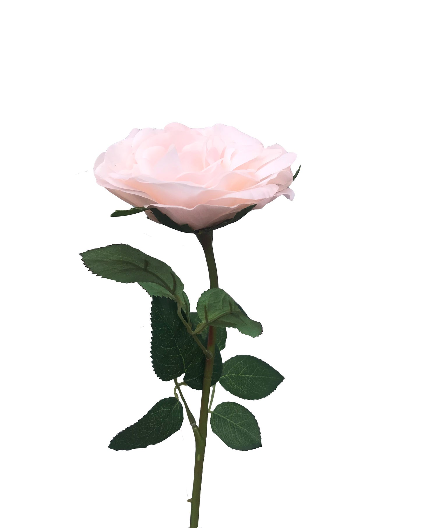 artificial real touch austin rose peach
