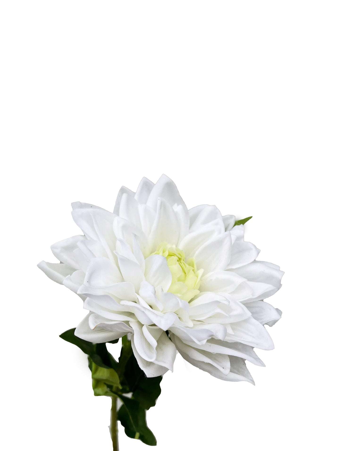 Real Touch Dahlia White