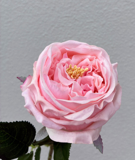 Artificial Peony Real Touch Pink