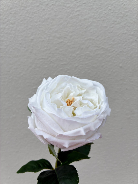 Artificial Peony Real Touch White