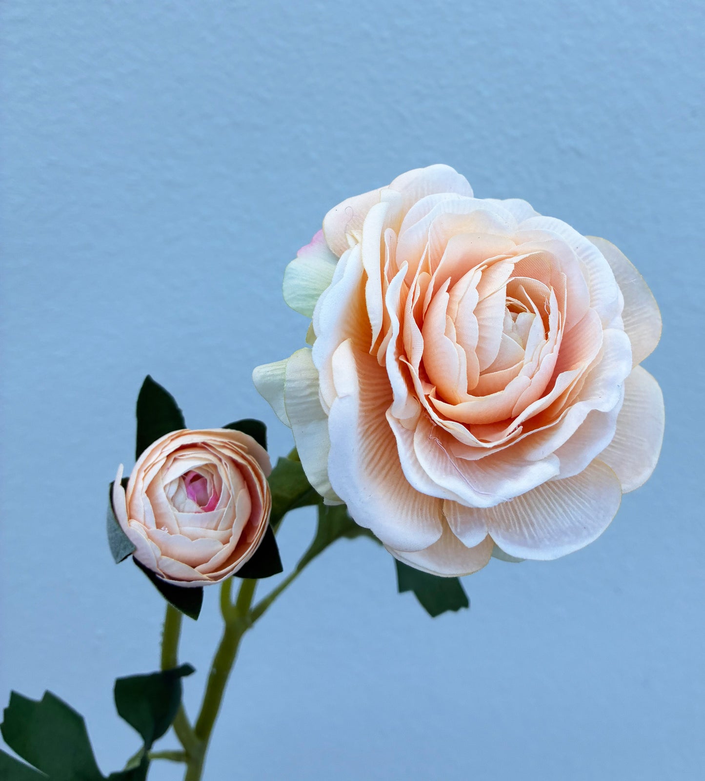 Artificial Real Touch Ranunculus Rose Peach