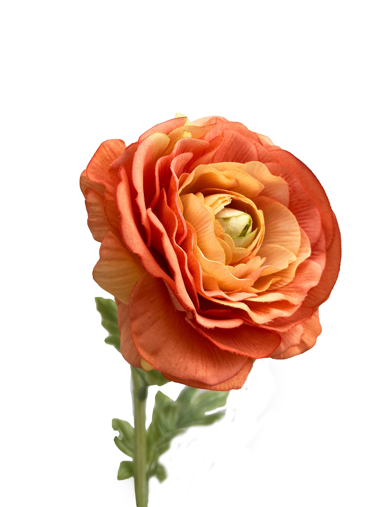 Artificial Real Touch Ranunculus Rose Orange