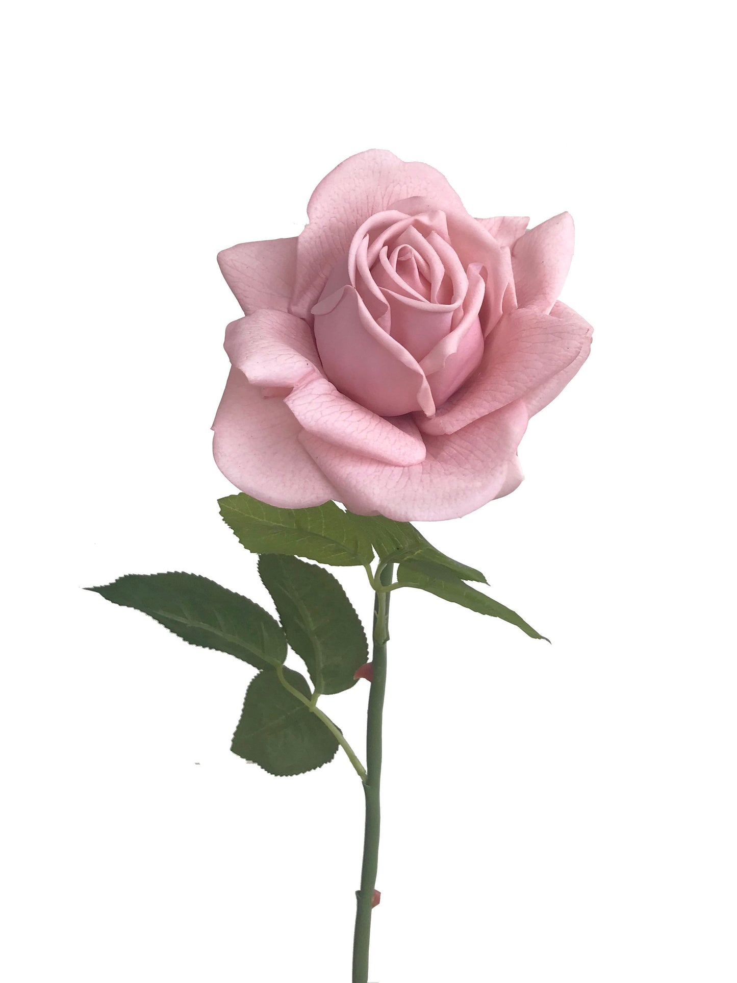 artificial real touch rose dusty pink