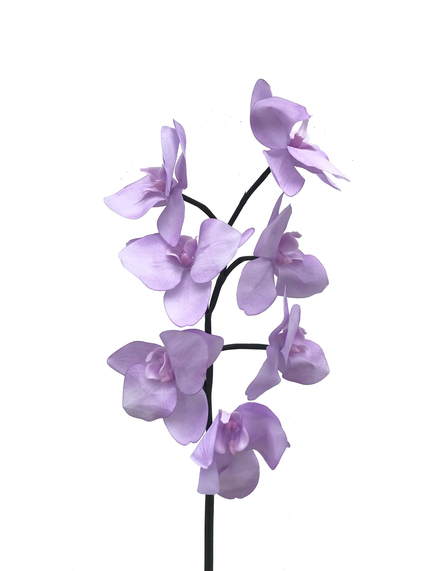 artificial real touch veined orchid purple