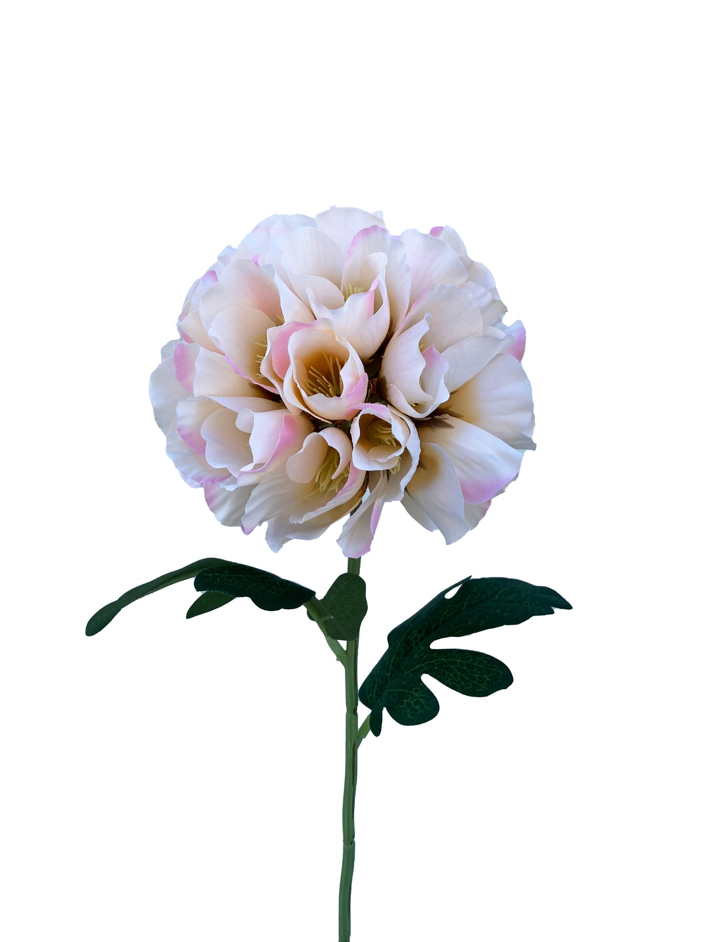 Crème de Rhododendron Artificiel
