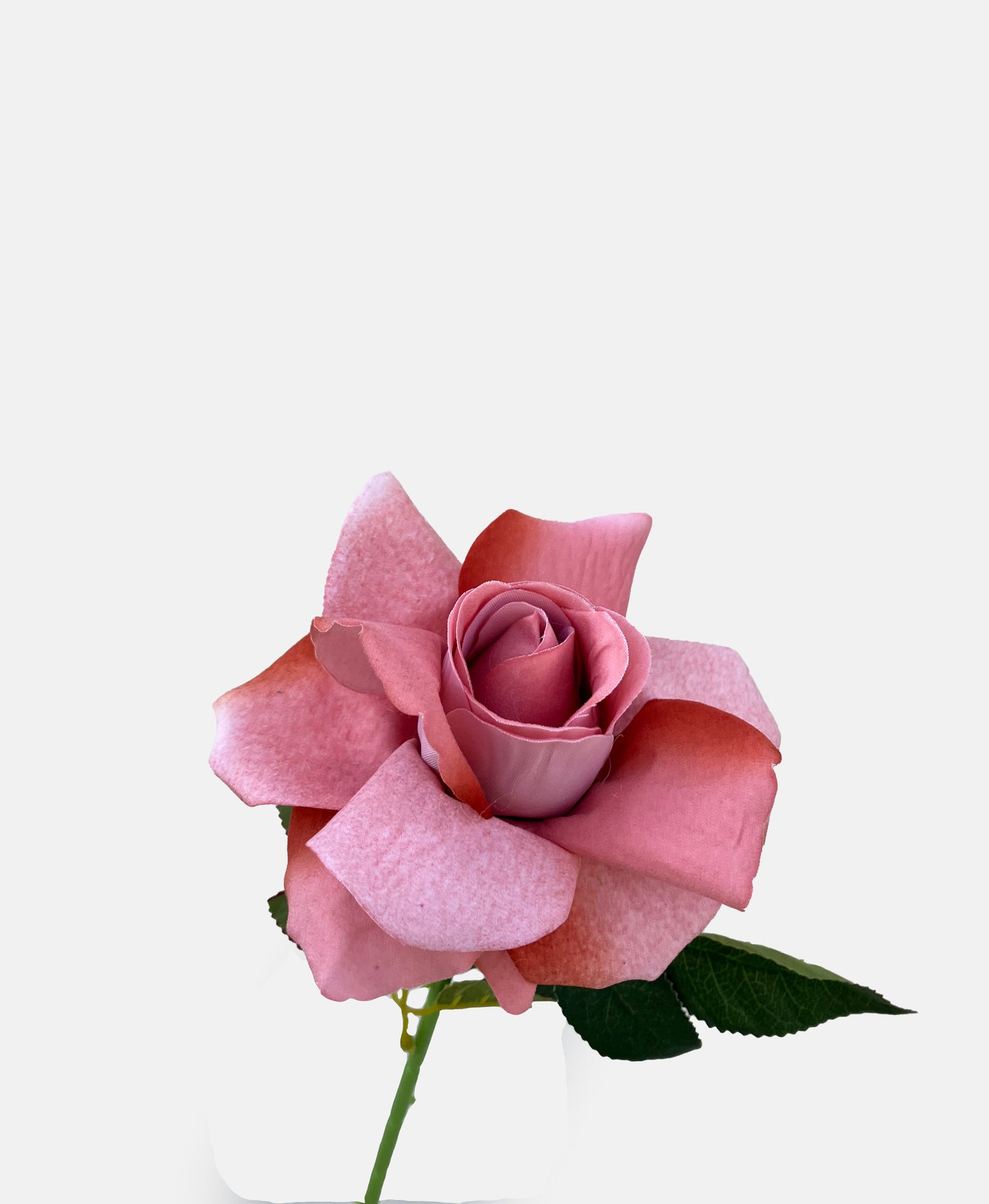 La clásica rosa artificial rosa polvoriento