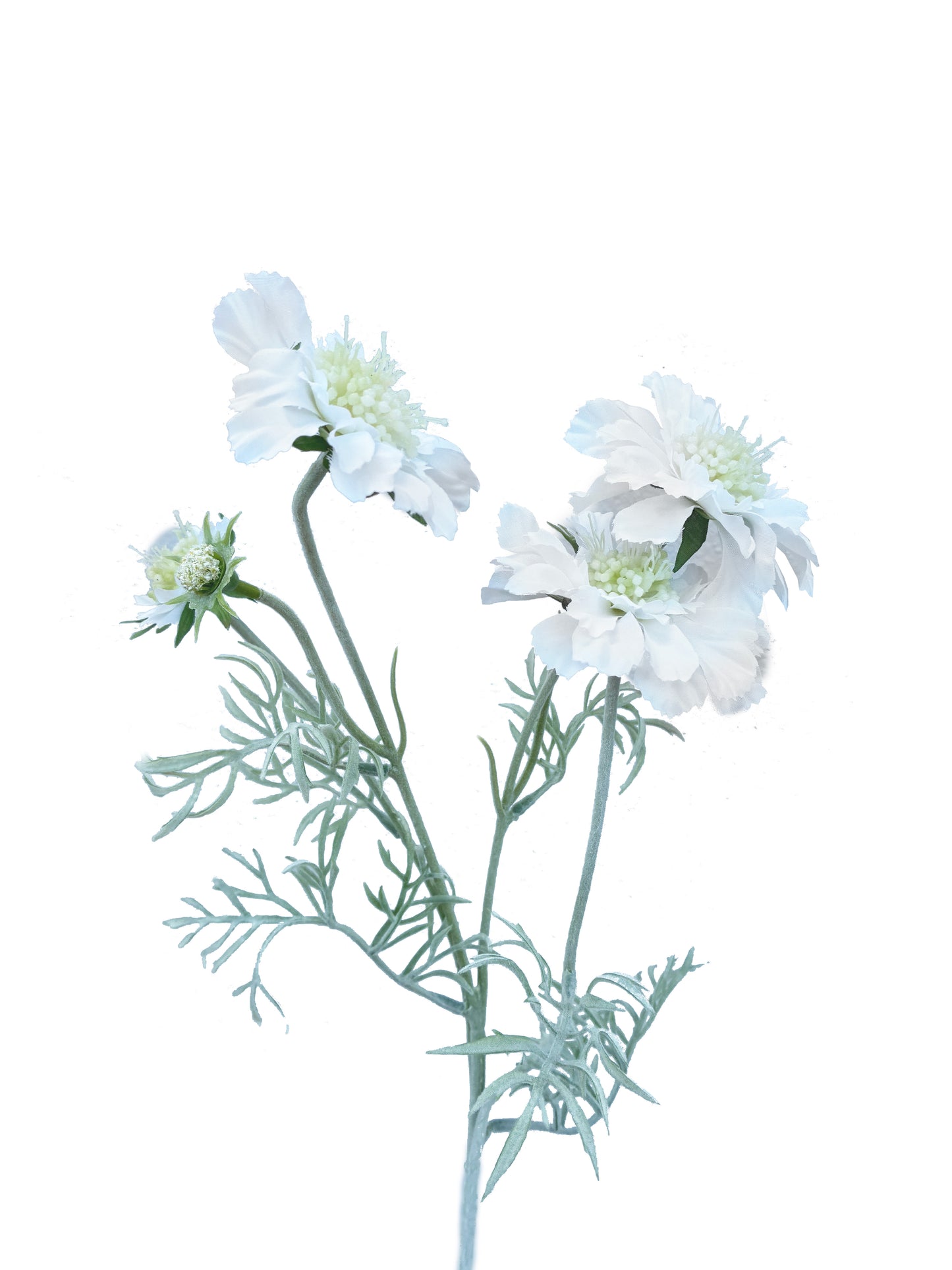 Artificial Scabiosa Spray White