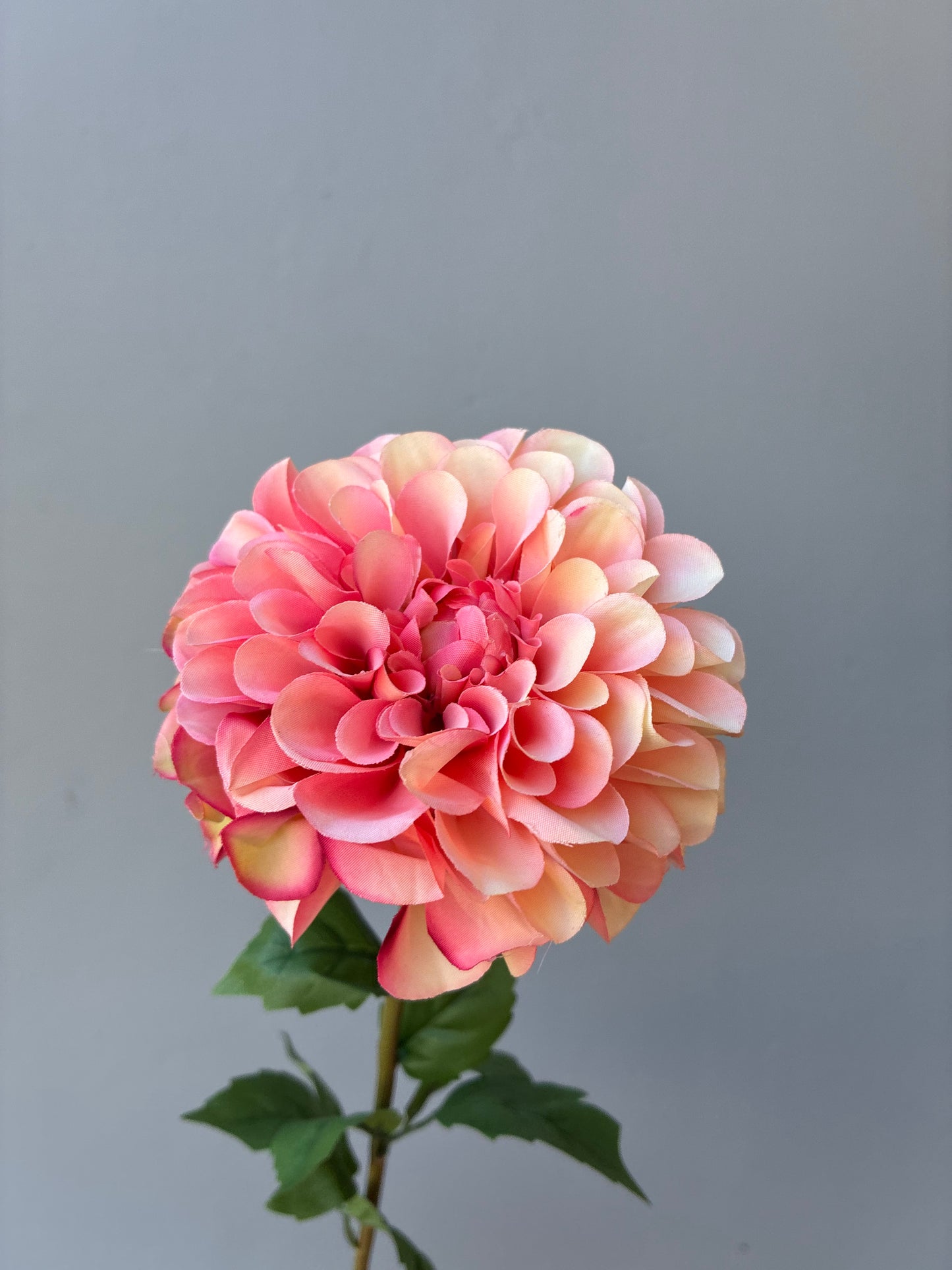 Dahlia artificiel ivoire