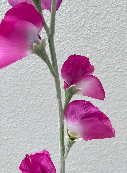 Pois de senteur artificiel rose vif