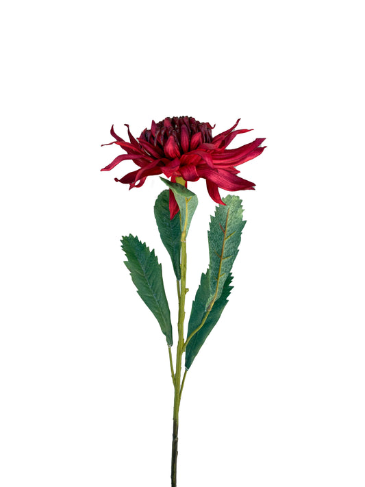 Artificial Waratah Red