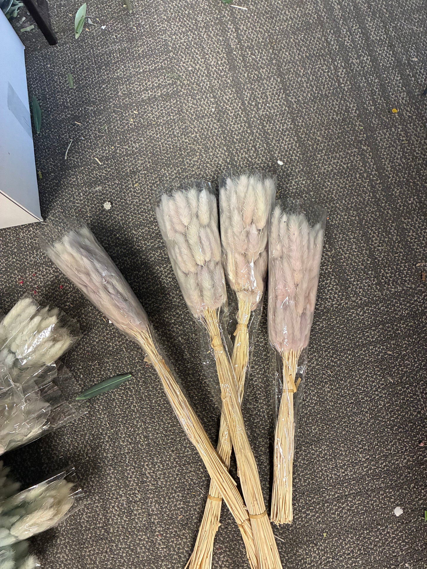 Dried Bunny Faded colour lilac Clearance