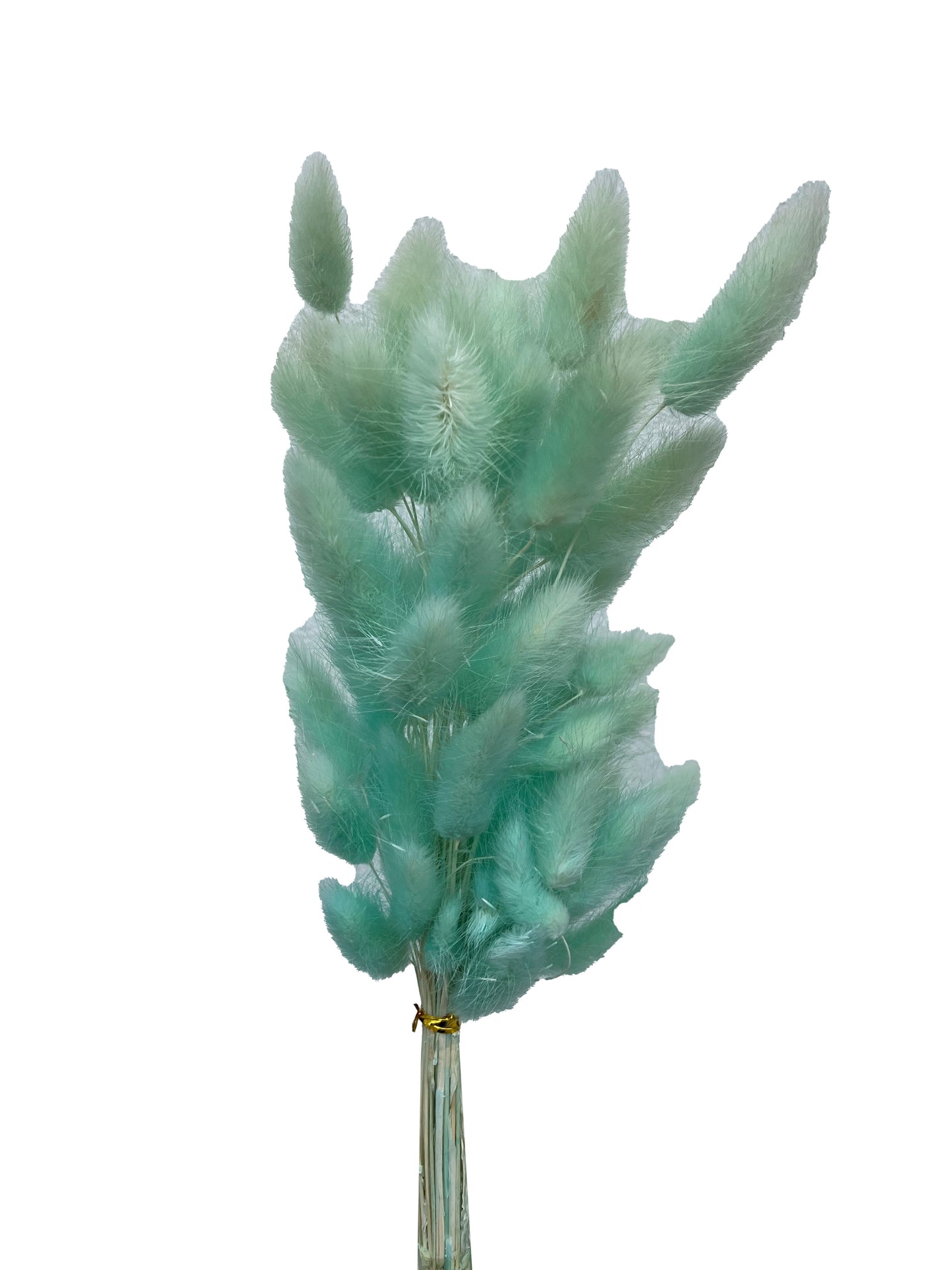 Dried Bunny Tails Teal