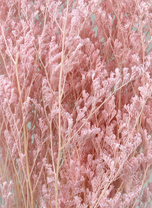 Rose Limonium Séché