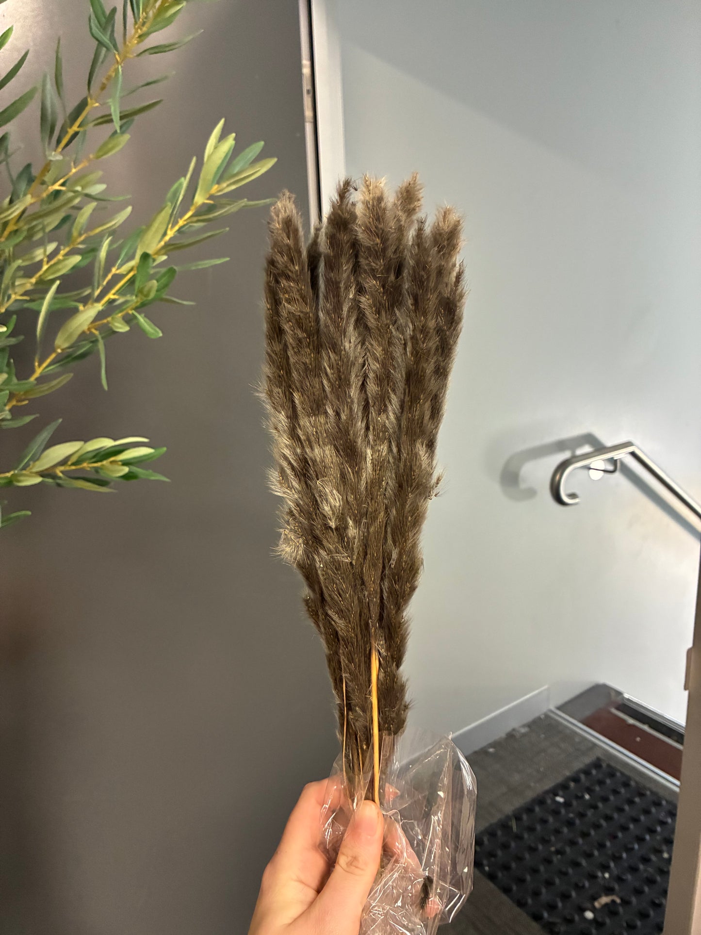Dried Preserved Warm Charcoal coloured small fluffy Grass