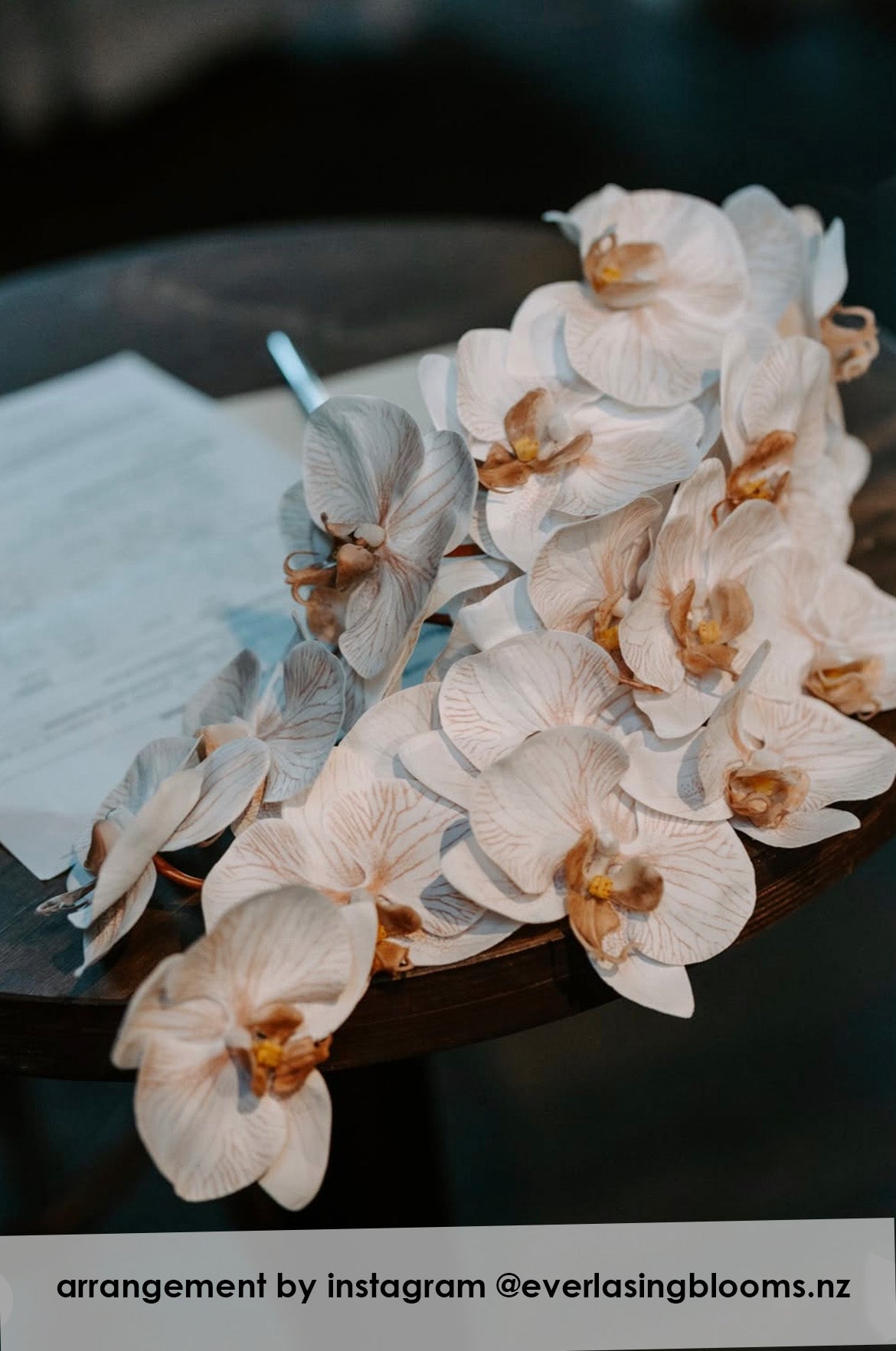 Orquídea Phalaenopsis rubor veteado