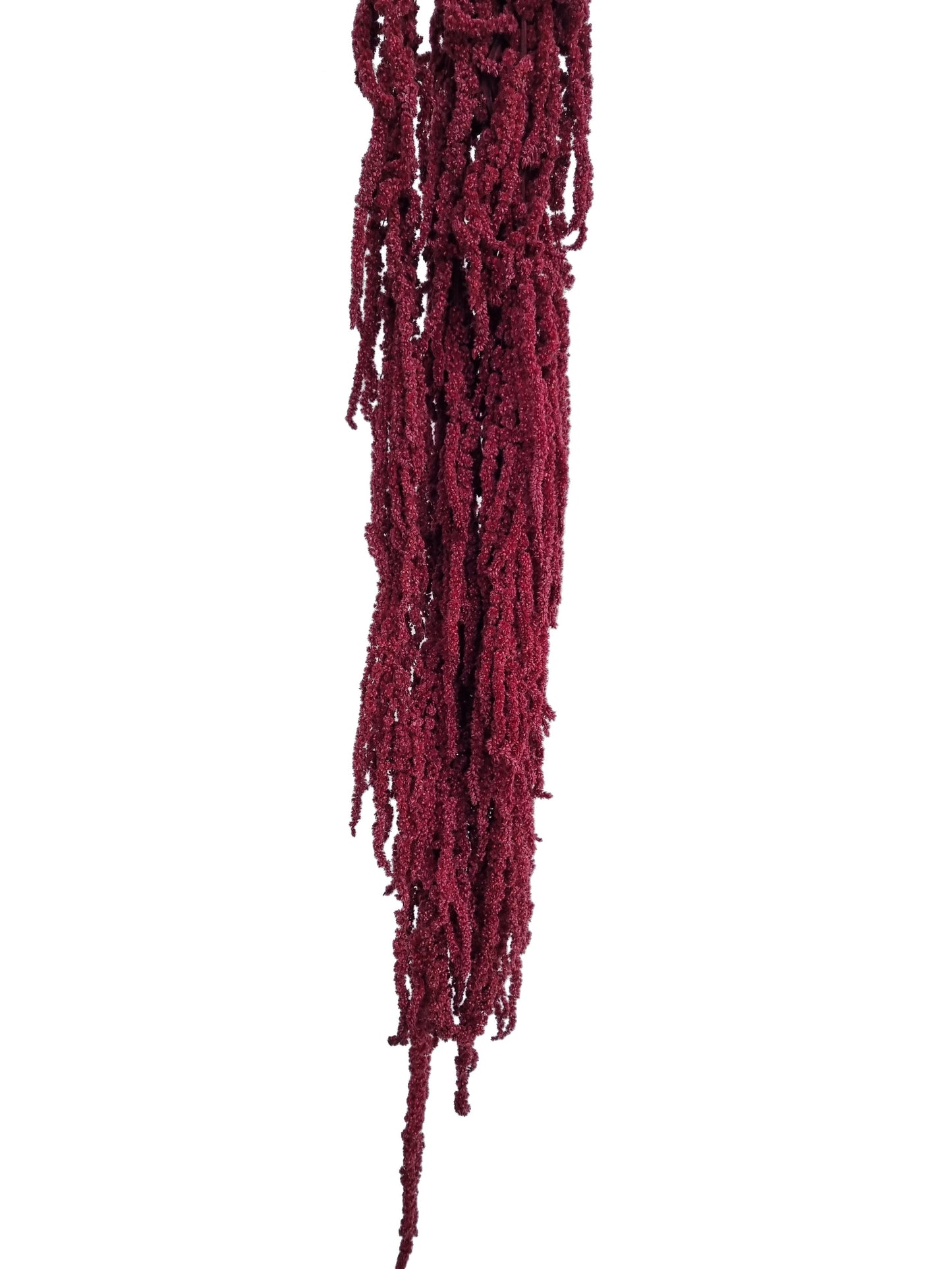 fake amaranthus deep red