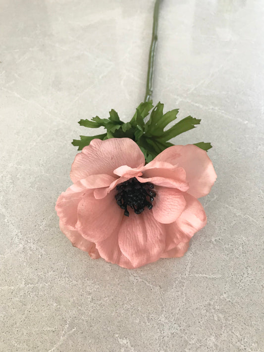fake anemone blush