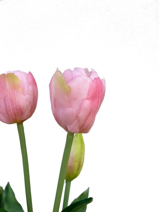 Artificial Real Touch Tulip Pink